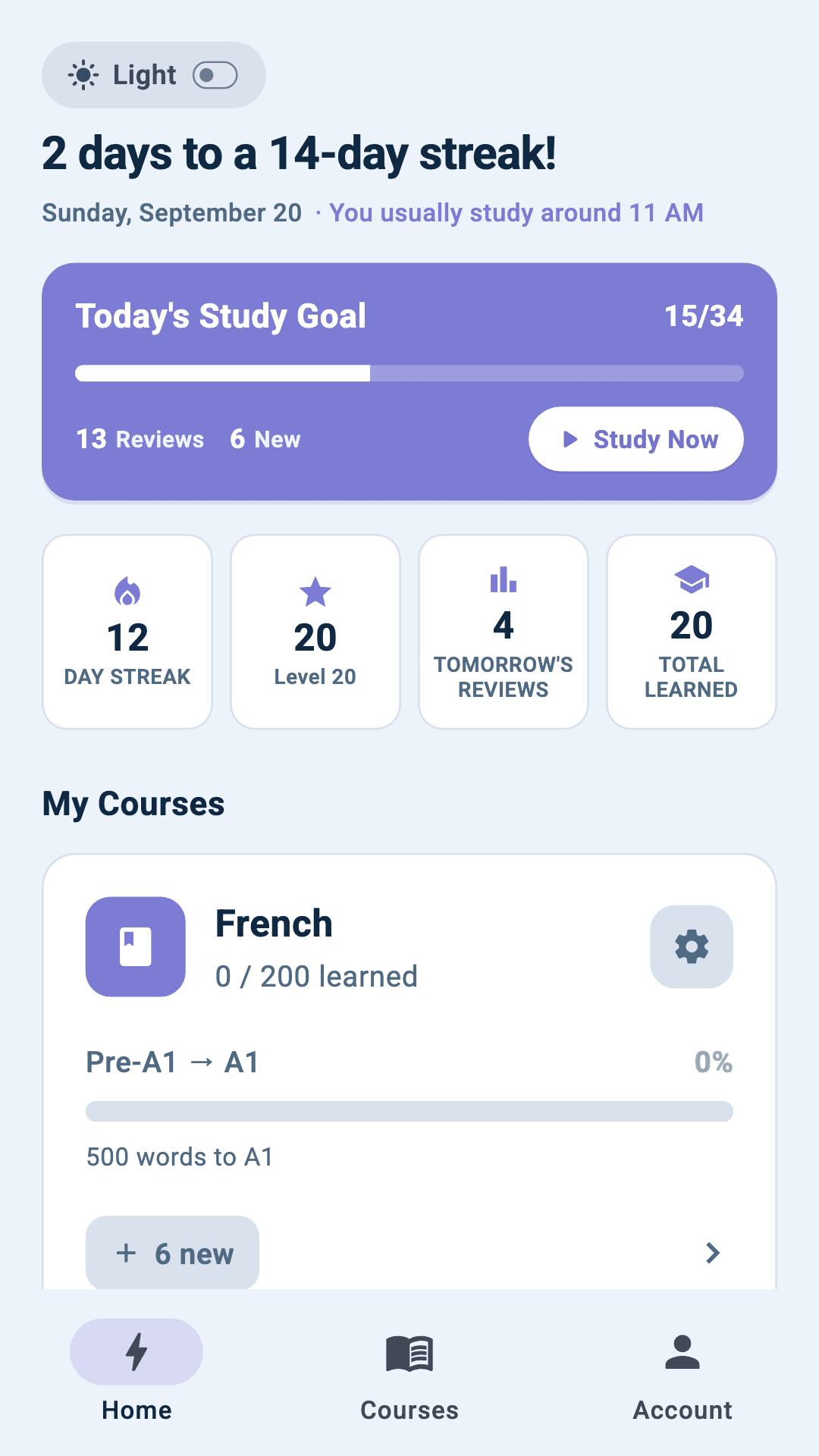 MassVocabulary home screen showing active courses with Vietnamese vocabulary, review progress, and daily study statistics
